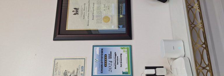 20250815 093432 scaled 1170x400 1 768x263