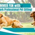 364796062 847393993615797 4830295920276102741 n 150x150