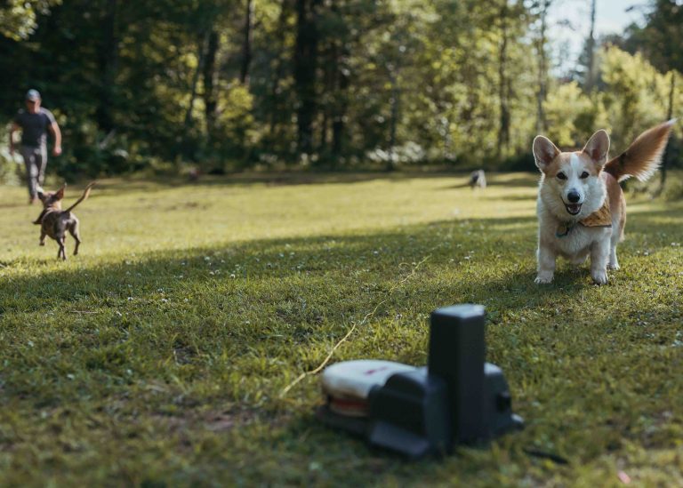 EssubiK9xAlderCreek 11 768x549