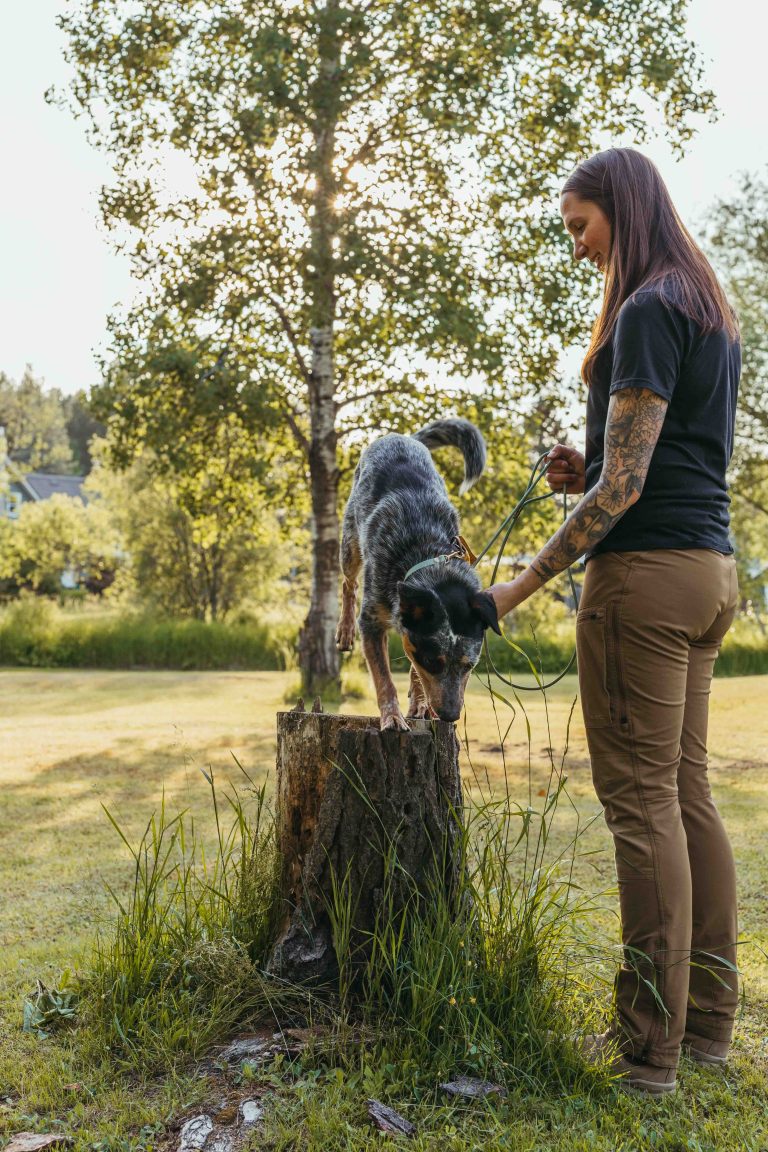 EssubiK9xAlderCreek 196 768x1152