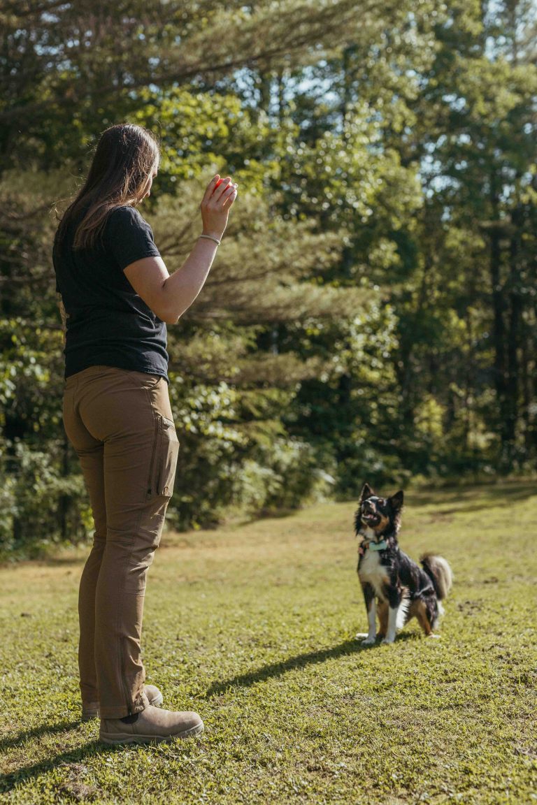 EssubiK9xAlderCreek 3 768x1152