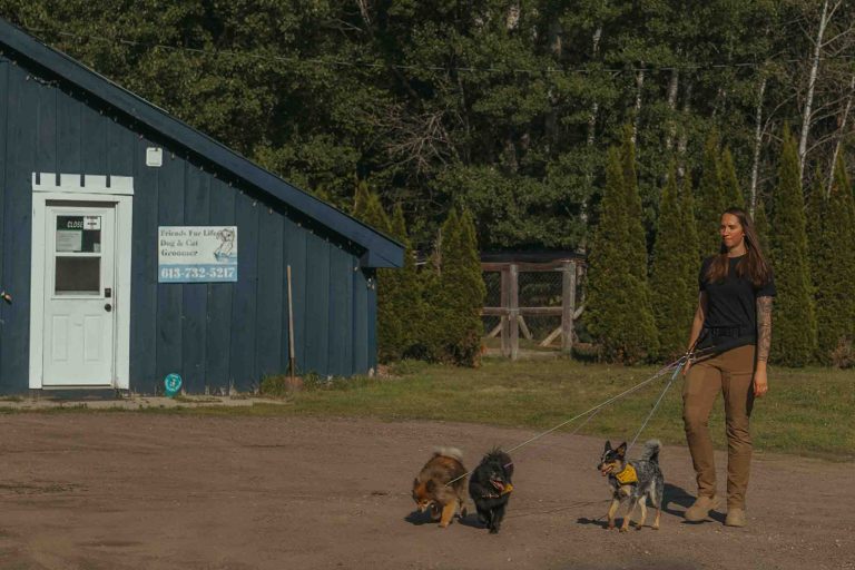 EssubiK9xAlderCreek 33 768x512