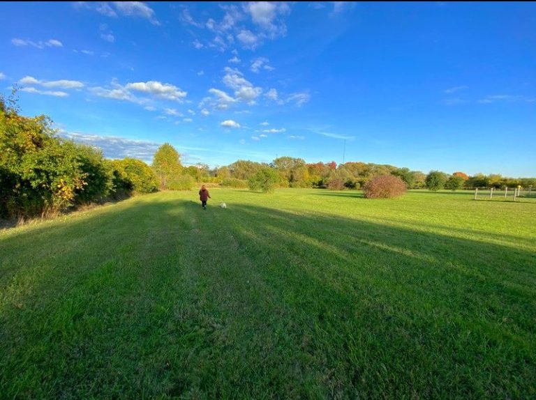 120766928 356365228936600 4597466667698454530 n e1602027075571 768x574