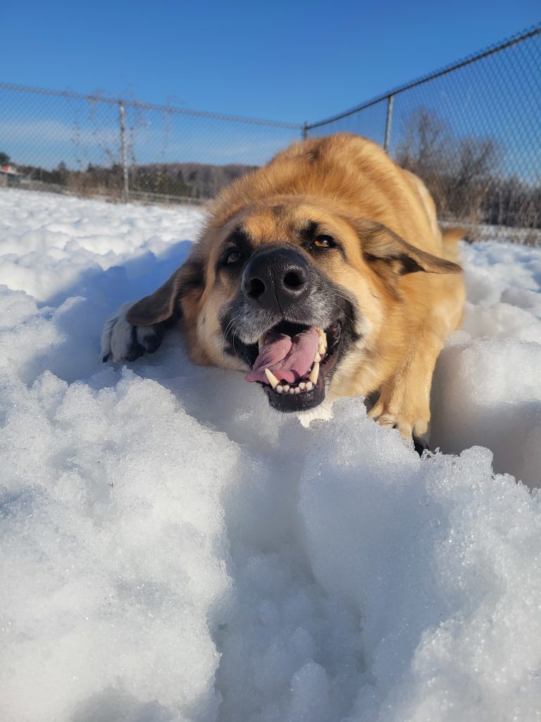 20250311 095748 768x1024