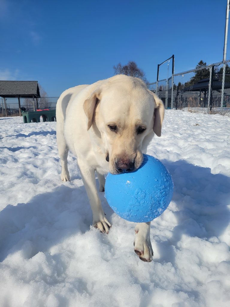 20250311 102941 768x1024