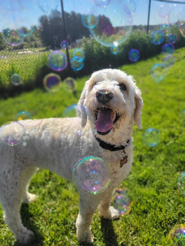 20250526 095617 768x1024