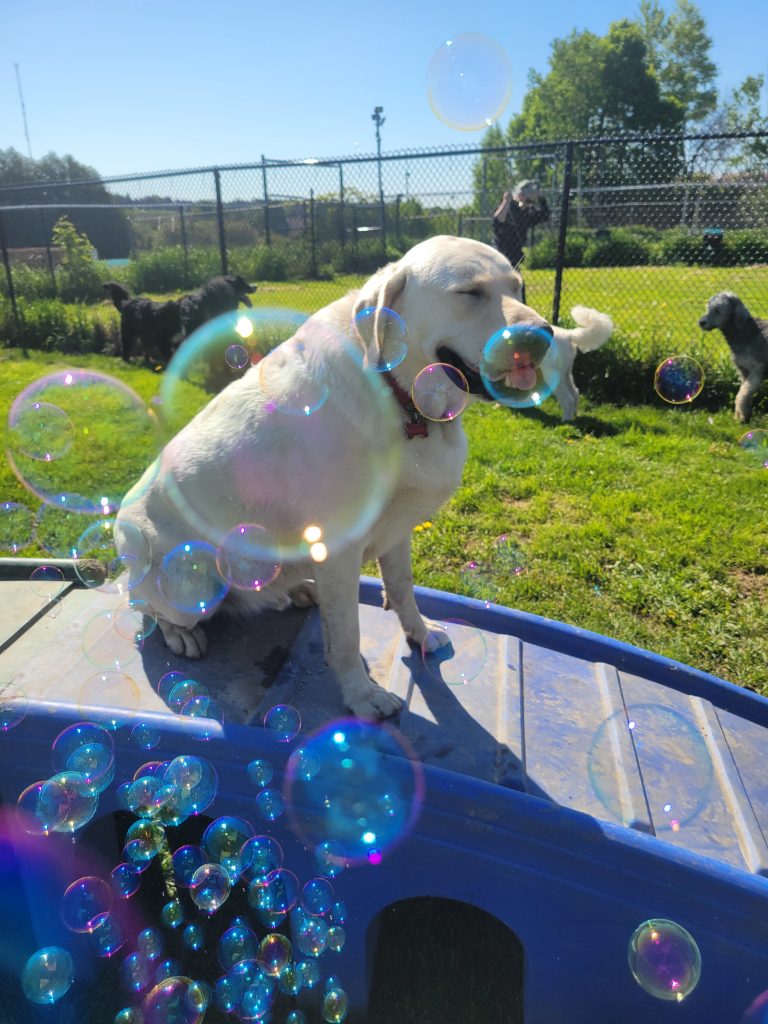 20250526 095938 768x1024