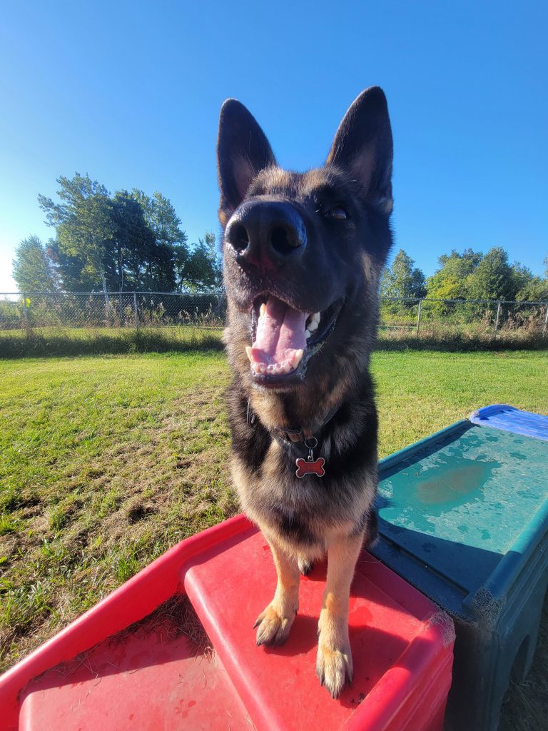 20250826 085256 768x1024