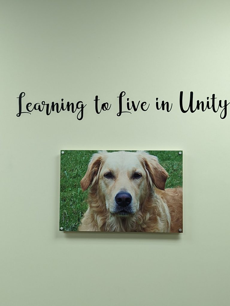 275380610 119762040632553 4519427537346144015 n 768x1020