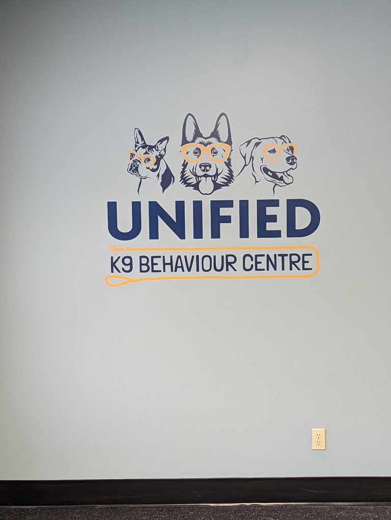 275513768 119762070632550 4495500377141849584 n 768x1020