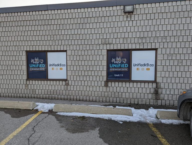 275615144 120914120517345 4369636714600243840 n 768x578