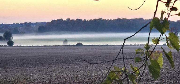 462093273 8359729724064620 3959731319775457017 n 768x359