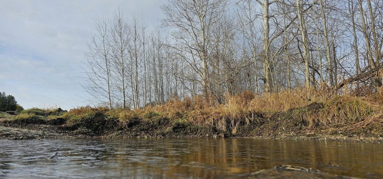 468716237 8730645783639677 4066958746634685973 n 768x359