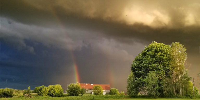 469933577 8748982001806055 4952705293187025721 n 768x385