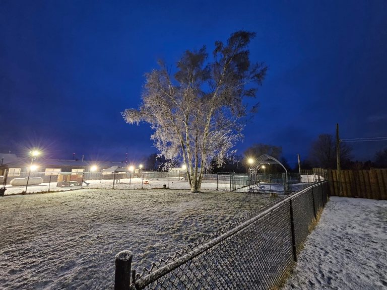 488865303 9405019289535653 2984714111681717547 n 768x576