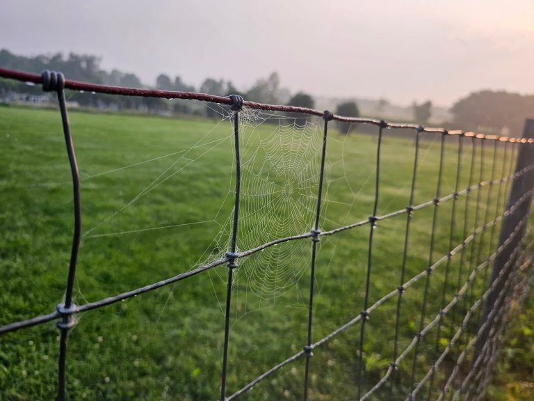 490136023 9456501611054087 6183889712416210857 n 768x576