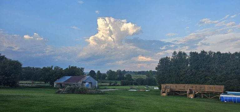 497699918 9692623347441911 6831303954004117602 n 768x359