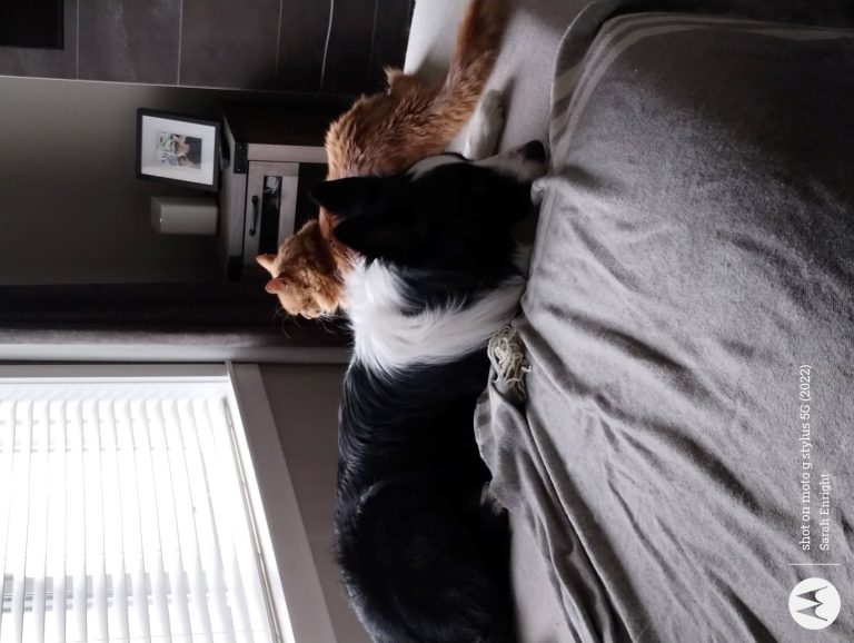 IMG 20240301 075447062 768x578