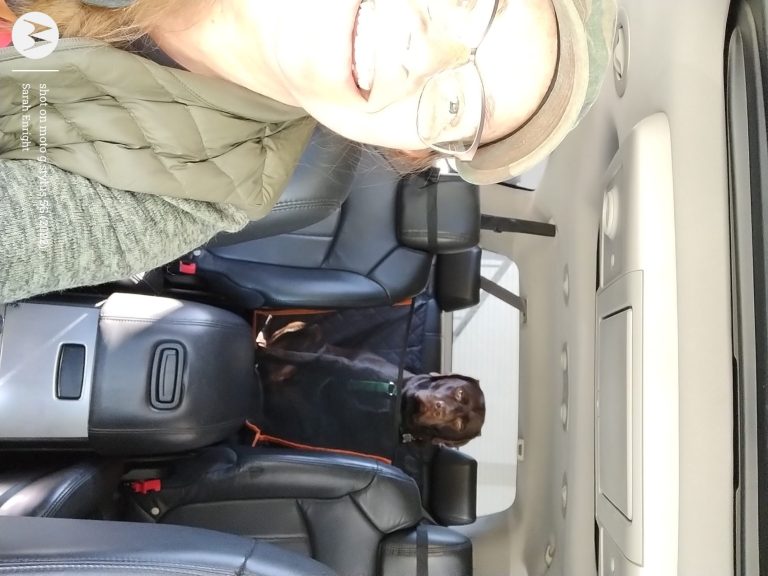 IMG 20240324 115824680 768x576