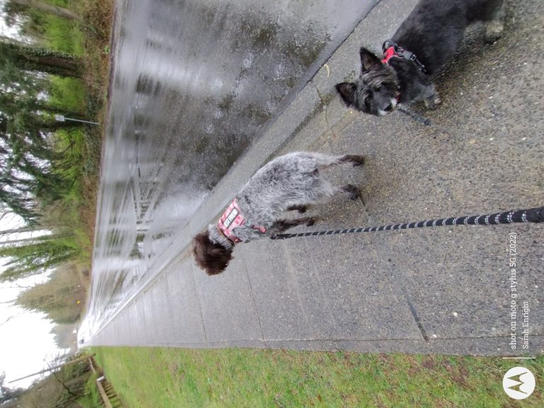 IMG 20240327 092502927 768x576