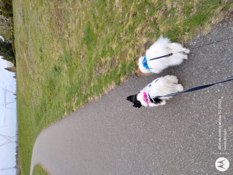 IMG 20240411 085816512 768x578