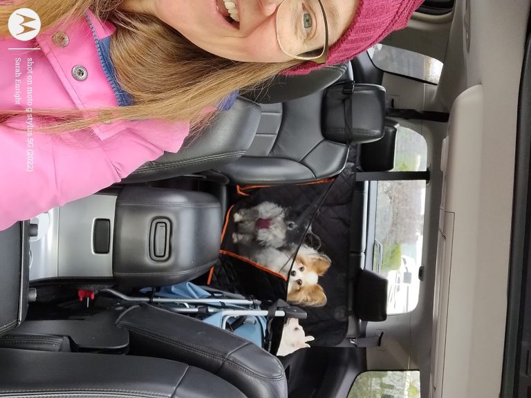 IMG 20240411 091923879 768x576