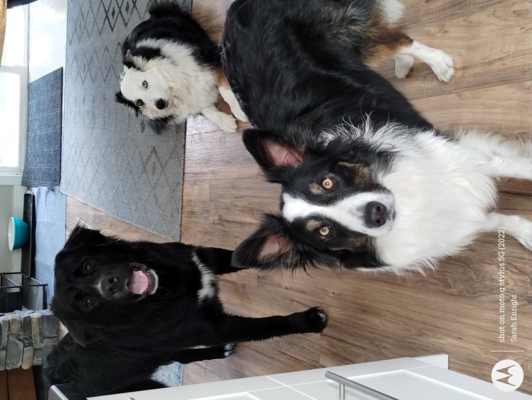 IMG 20240422 131217167 768x578