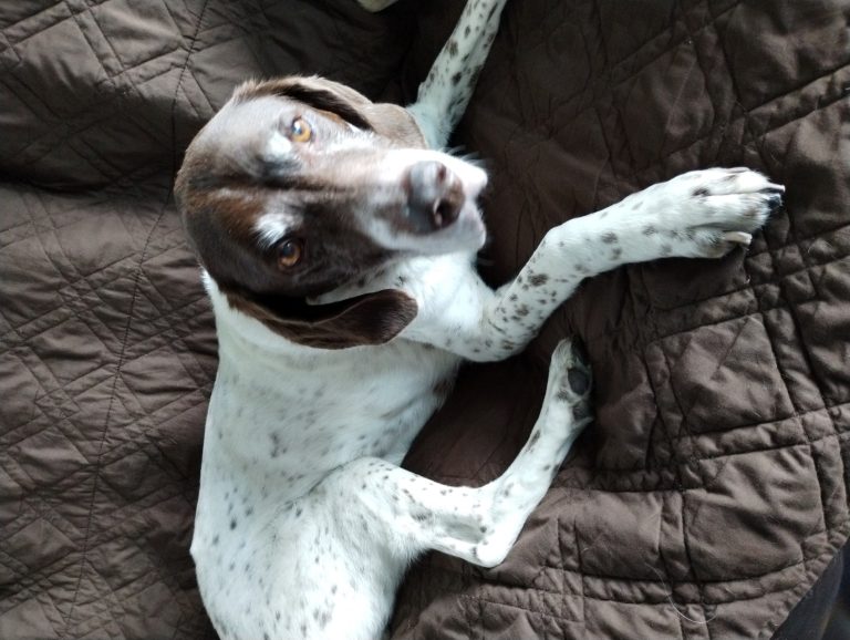 IMG 20240430 113117833 768x578