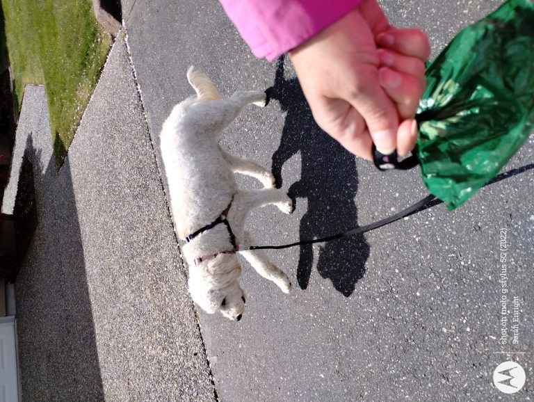 IMG 20240501 133555731 768x578