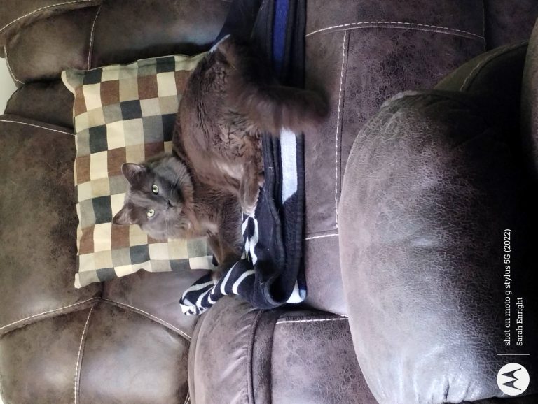 IMG 20240511 122915212 768x578