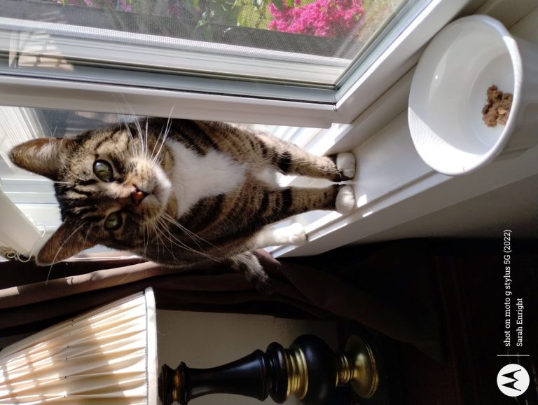 IMG 20240520 083427852 768x578