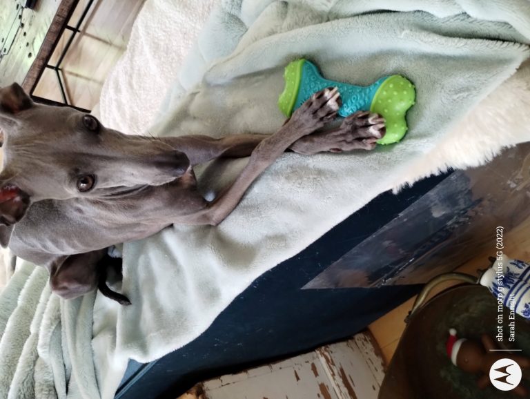 IMG 20240523 133436162 768x578