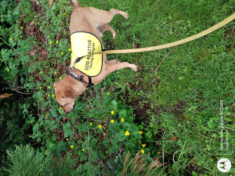 IMG 20240528 122252364 768x578