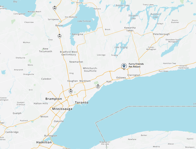 Screenshot 2025 09 07 at 7.54.07 AM 768x584