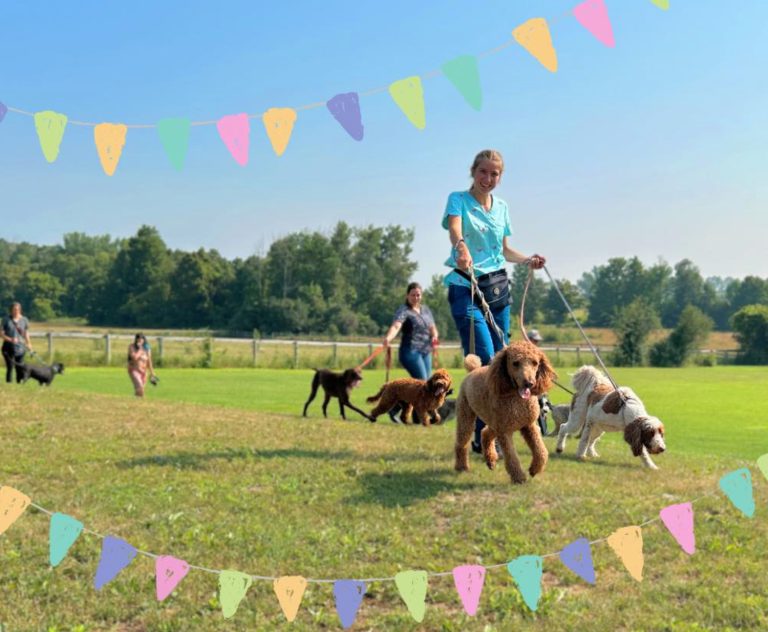 Screenshot 2025 09 09 at 8.14.18 AM 768x632