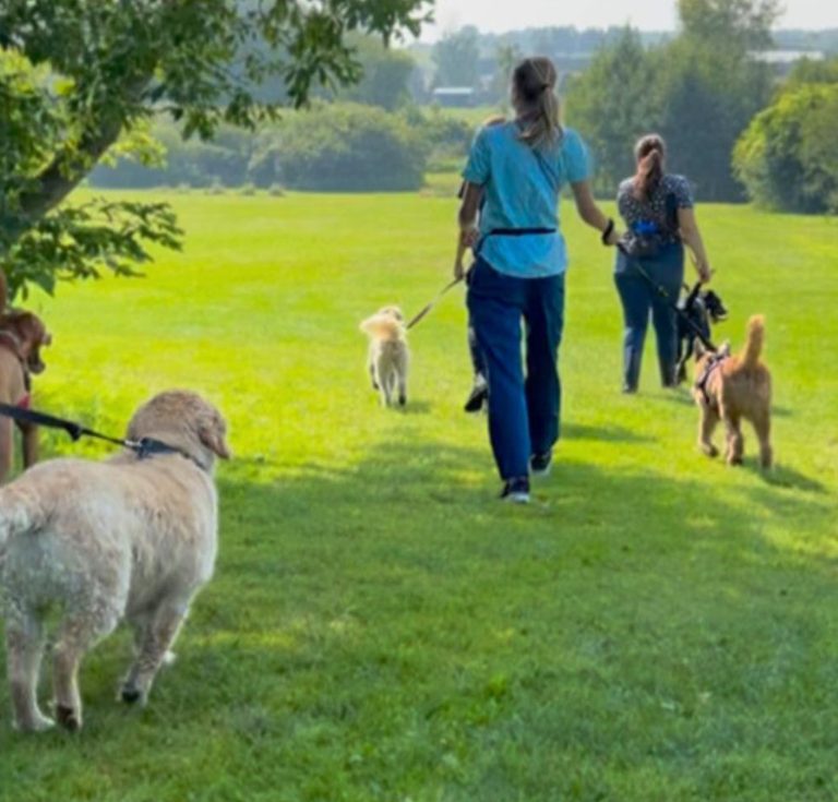 Screenshot 2025 09 09 at 8.14.44 AM 768x735