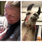 Untitled design 8 150x150