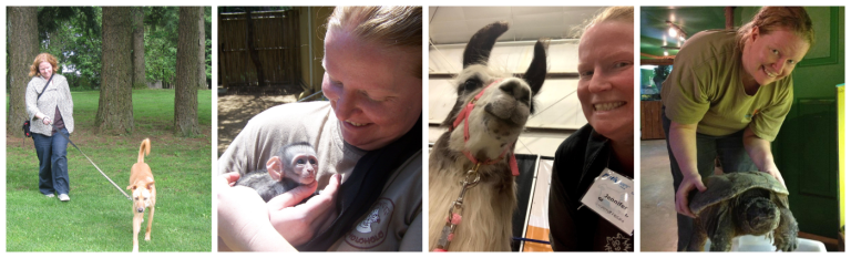 Untitled design 8 768x233