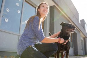 Why Hire a Professional Pet Sitter in Canada vs. a Hobby Sitter or Family/Friend