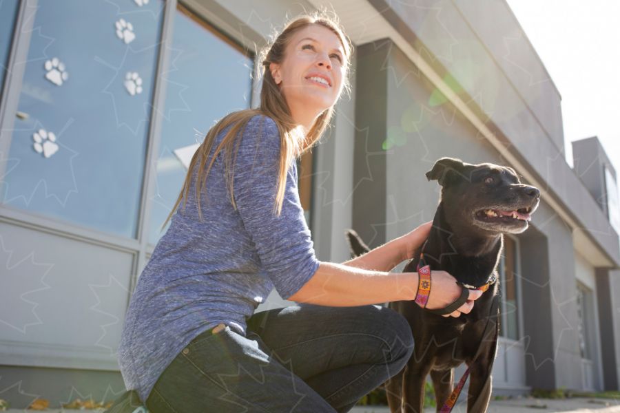 Why Hire a Professional Pet Sitter in Canada vs. a Hobby Sitter or Family/Friend