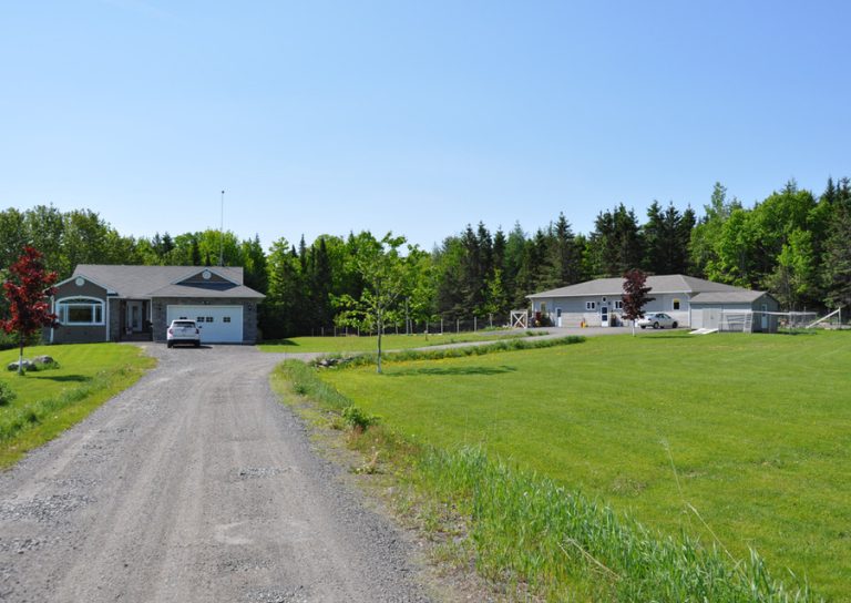 a84be9 9f44059fd109499581b6dec11e3a0e9amv2 768x544