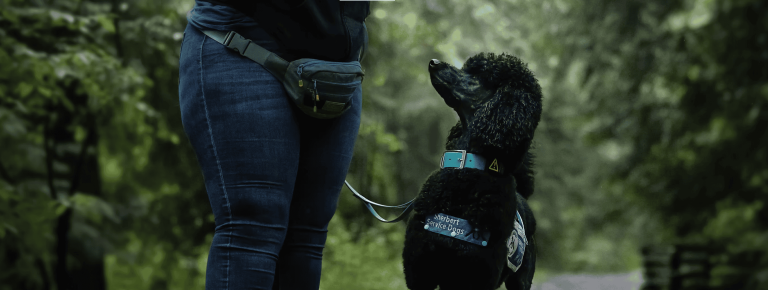 Screen Shot 2025 10 01 at 11.52.47 AM 768x290