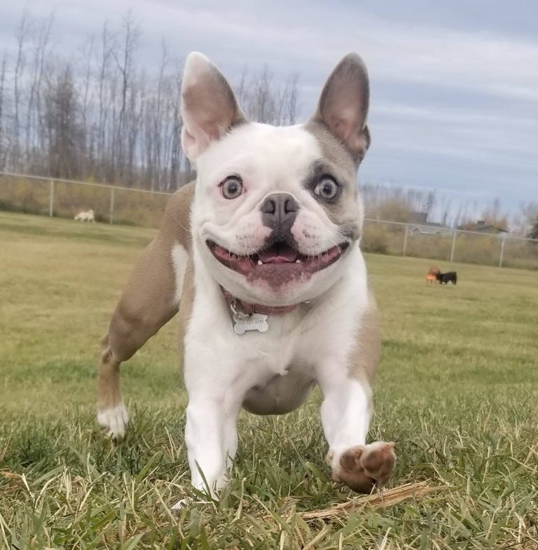 196322086 4030981016947448 5111537317063951952 n 768x786