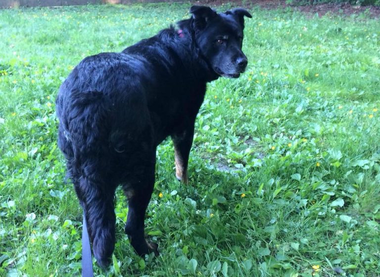 36461257 2127870380814058 1120892546206138368 n 768x560