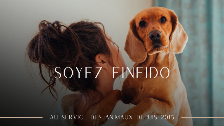 433532249 122153417510061690 89163630581492233 n 768x433