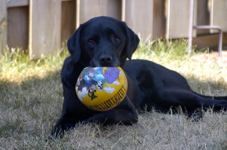 474711313 1140748441391118 330584397660612420 n 768x510