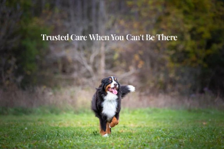 484233765 1219845290141076 6689906734856538310 n 768x512