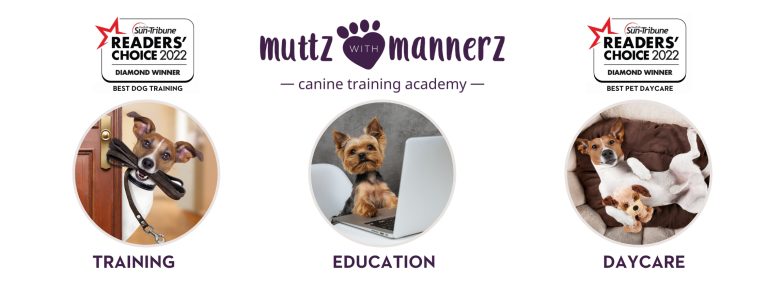 485129891 1257659602682824 7067986940641579591 n 768x292