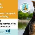 488658021 1222311049894511 8413377327358335542 n 150x150