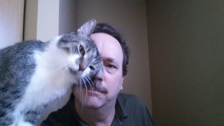 48d0de4760c309396764a3b3e3ee6034 768x432